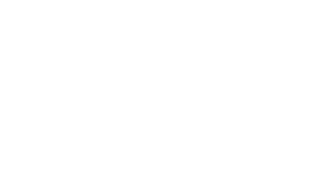 Partner 17