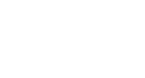 Partner 18