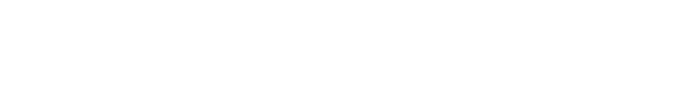 ProtoFlow